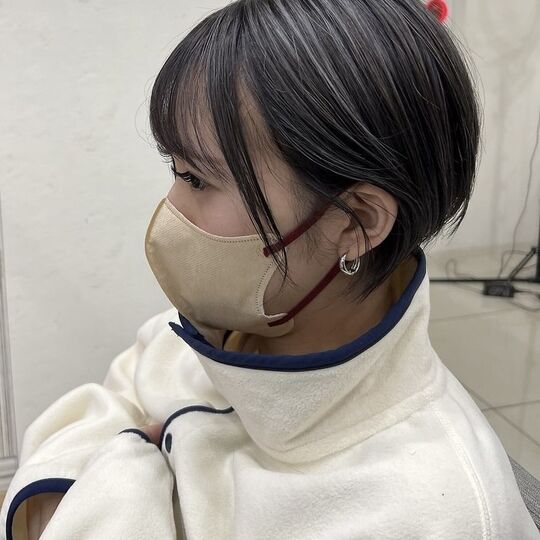 画像10267：シルバーハイライト